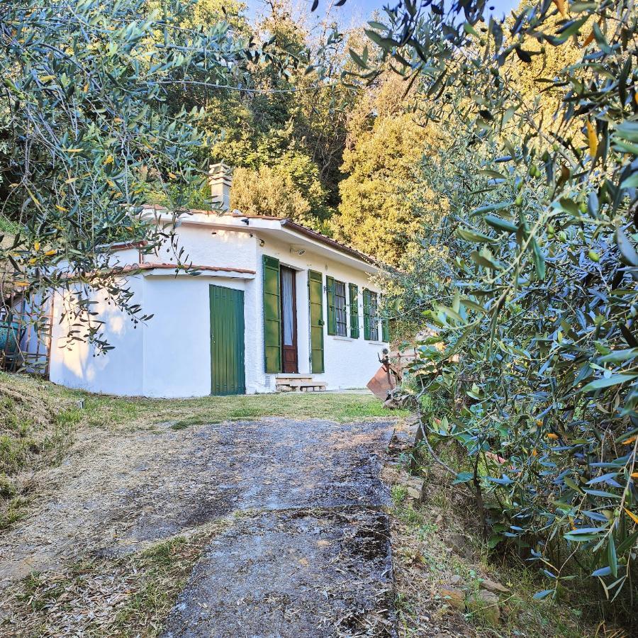 Massaciuccoli Romana Exterior photo