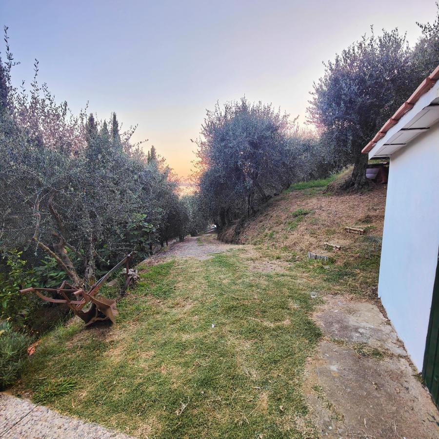 Massaciuccoli Romana Exterior photo
