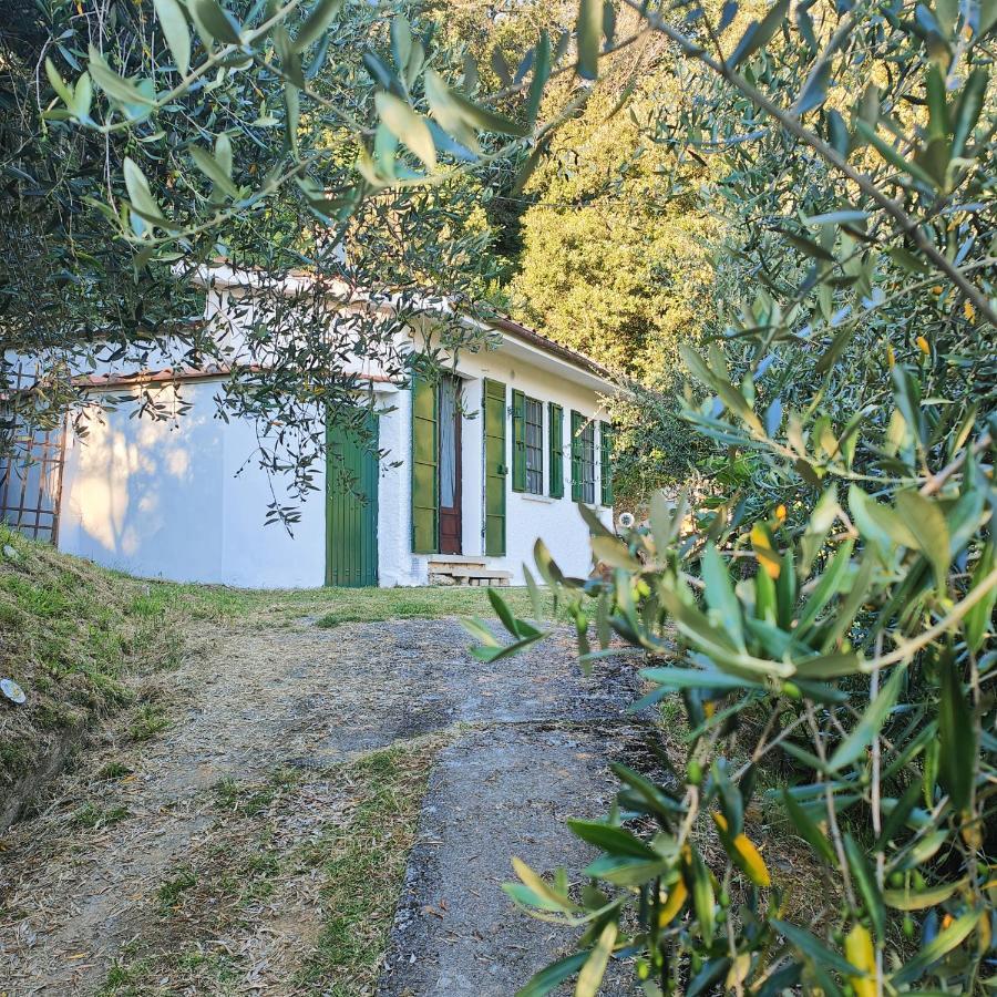 Massaciuccoli Romana Exterior photo